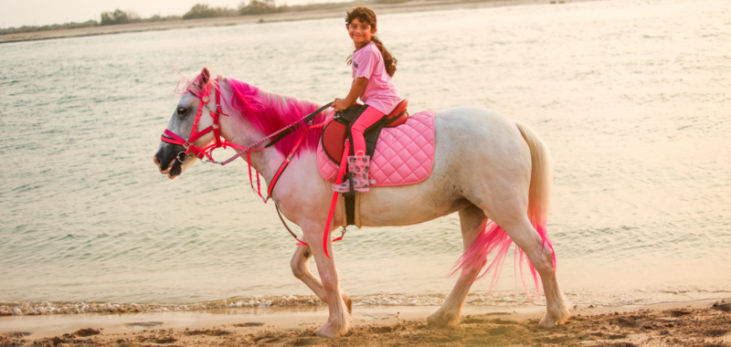 Pinky Pony By the beach 